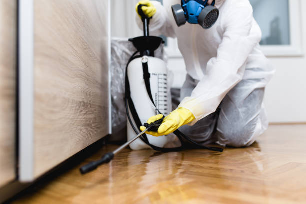 Best Flea Control Services  in Coquille, OR