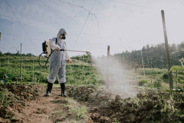 Best Pest Prevention Services  in Coquille, OR