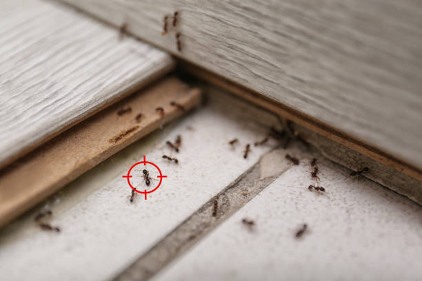 Best Commercial Pest Control Services  in Coquille, OR