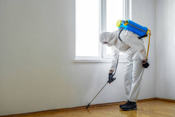 Best Best Pest Control Companies  in Coquille, OR