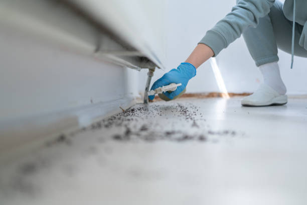 Best Emergency Pest Control  in Coquille, OR