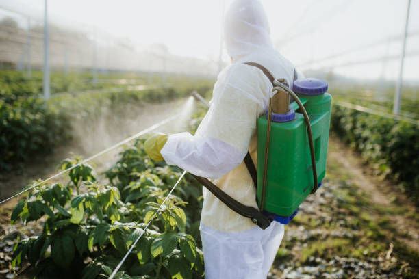 Best Flea Control Services  in Coquille, OR